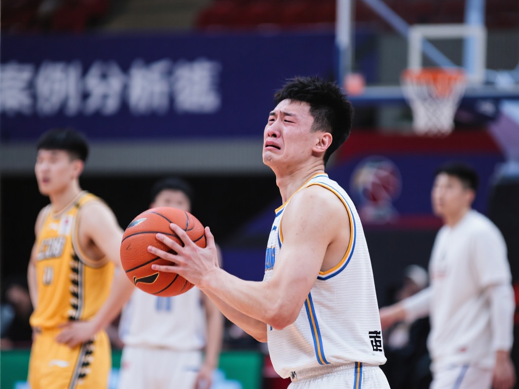 鞍马项目 鞍马项目